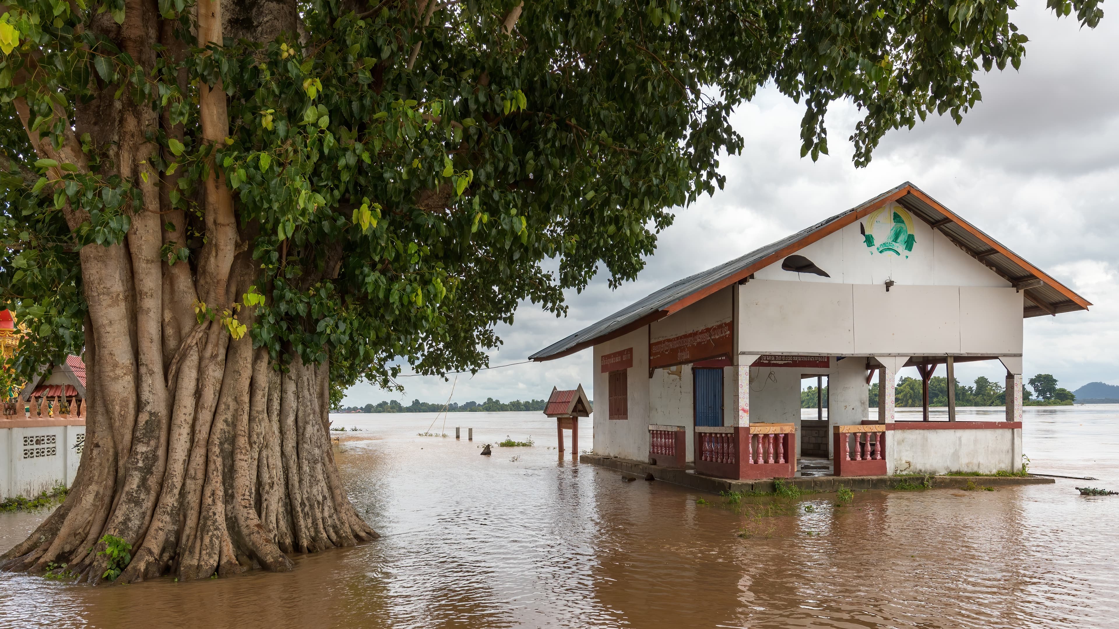 Wagering on the Flood