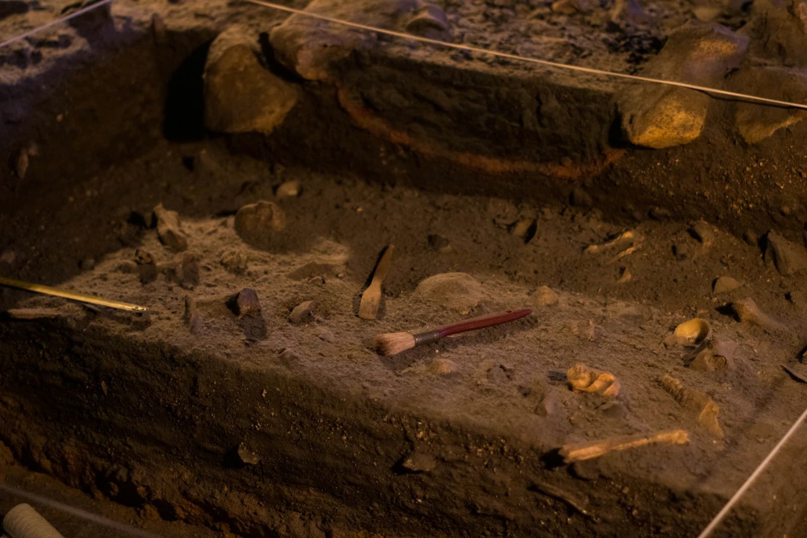 An archaeological excavation in progress.