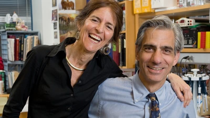A 25-Year Quest to Restore Sight