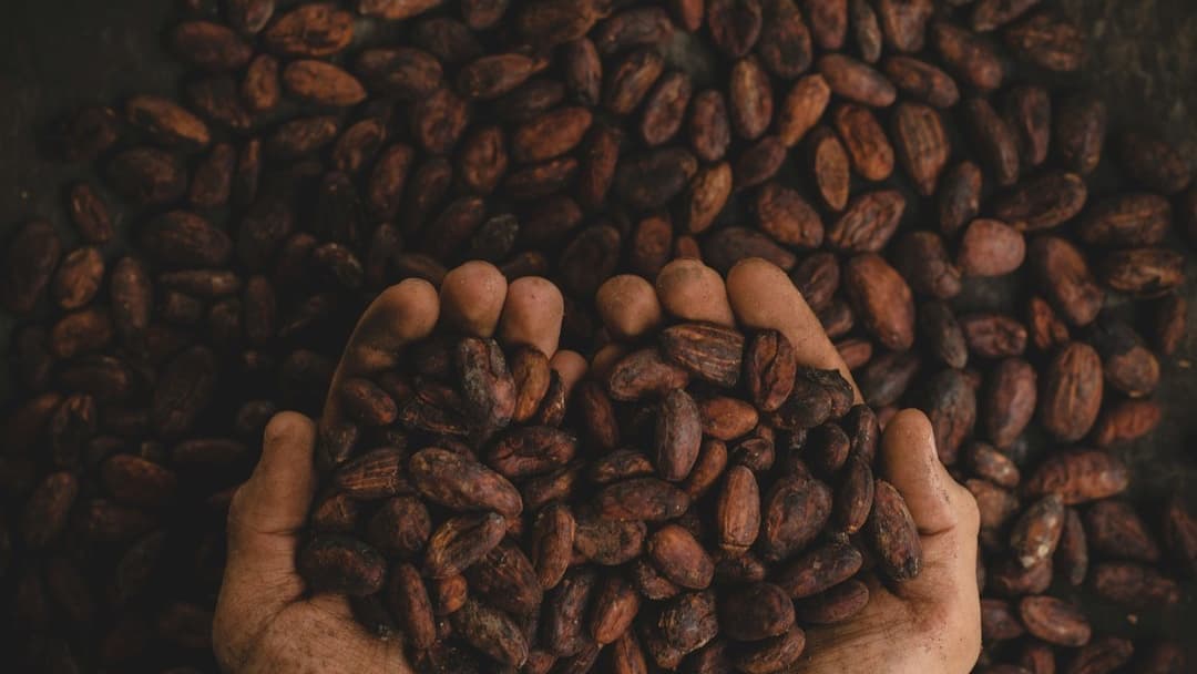 Rigged Scales in the Cocoa Trade