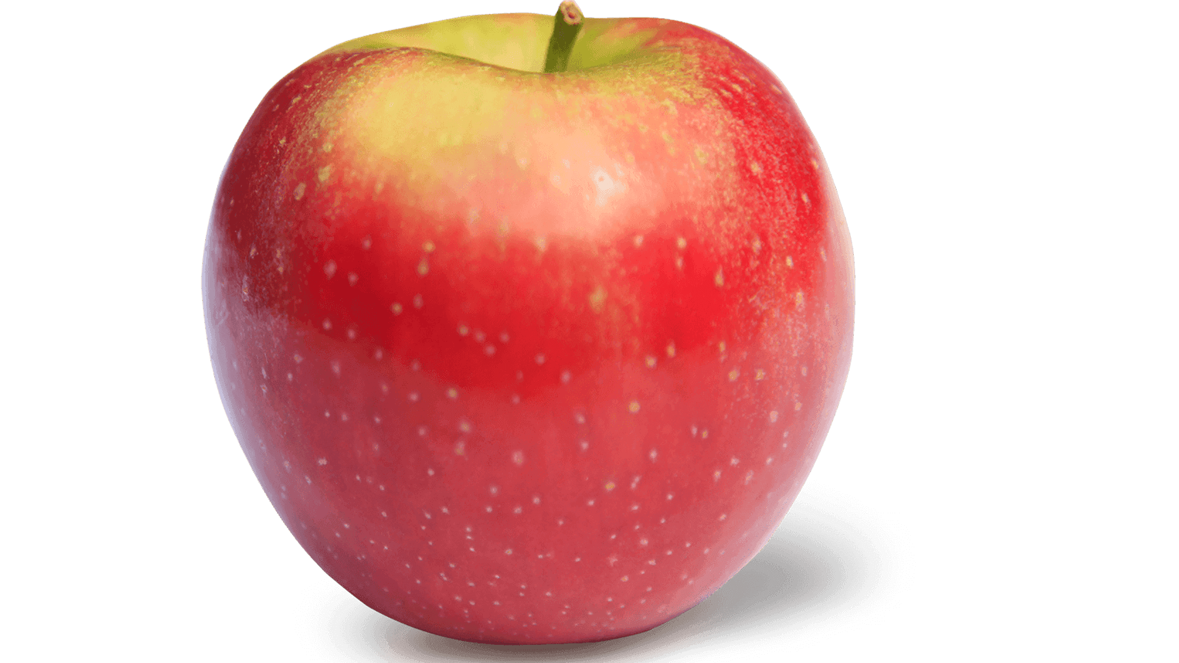 The Choice the Drone Cannot Make