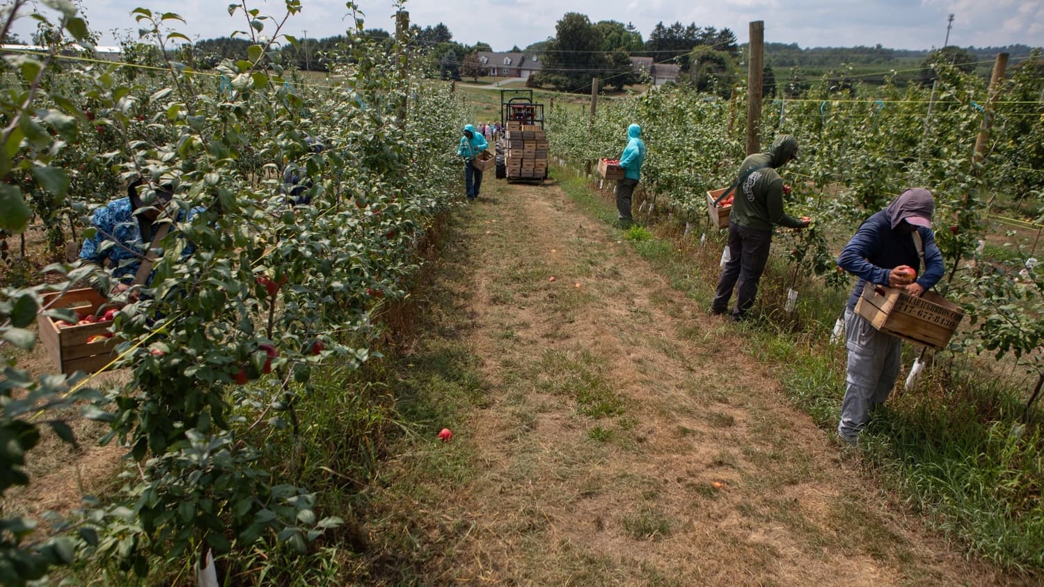 The Farm the Children Paid For
