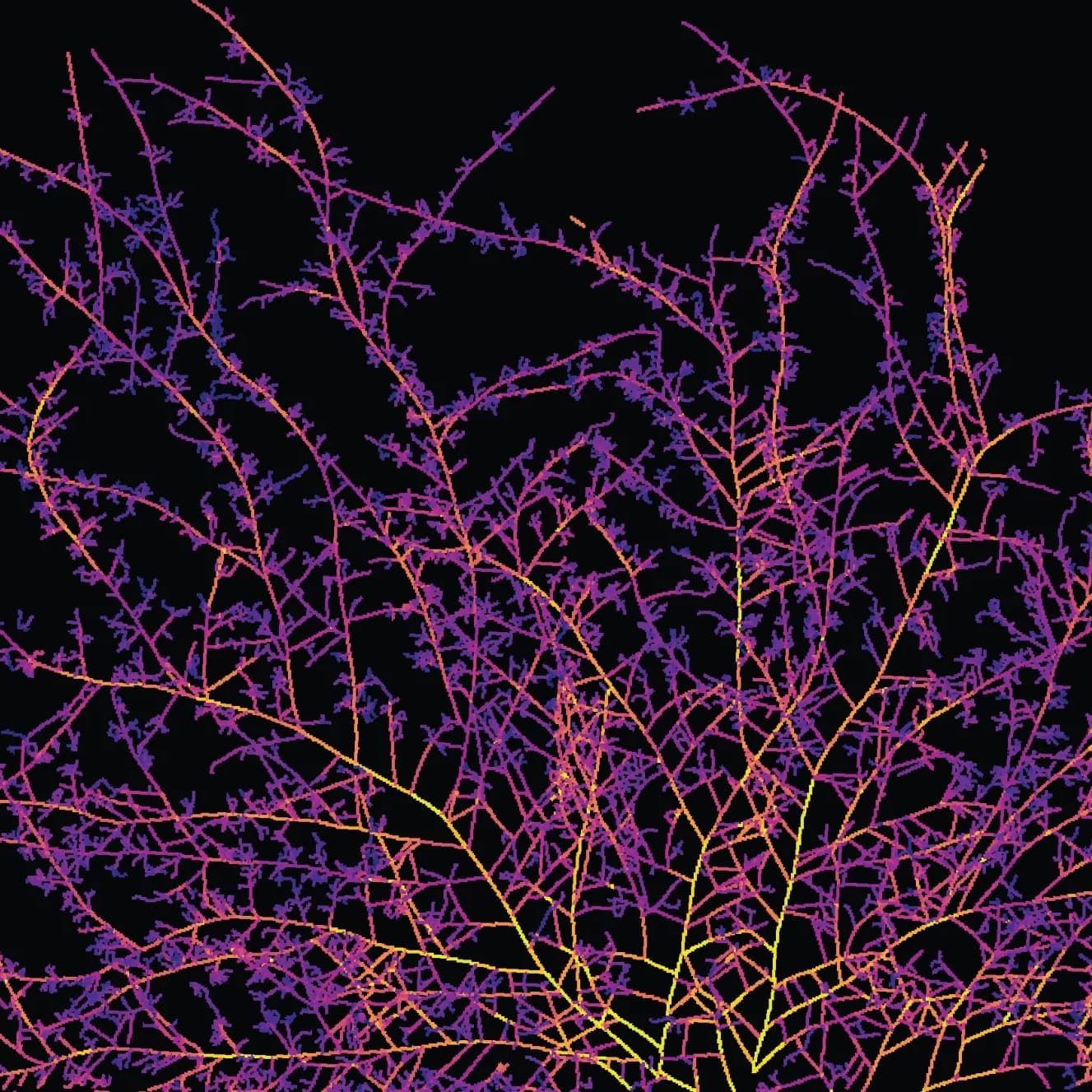 Underground fungus network could circle Earth 2.7 trillion times